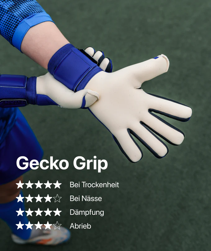 Vorschaubild 5