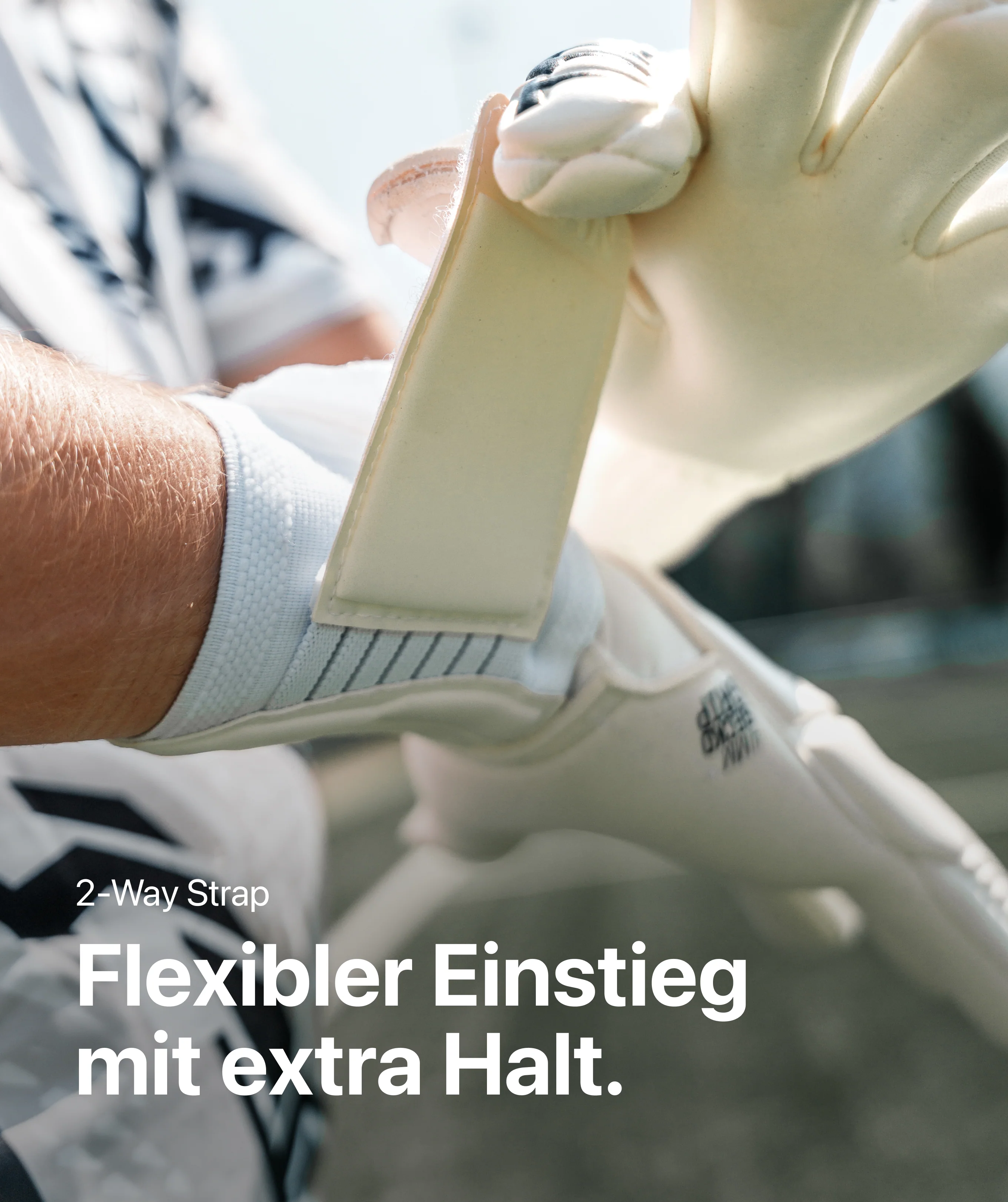 Vorschaubild 7
