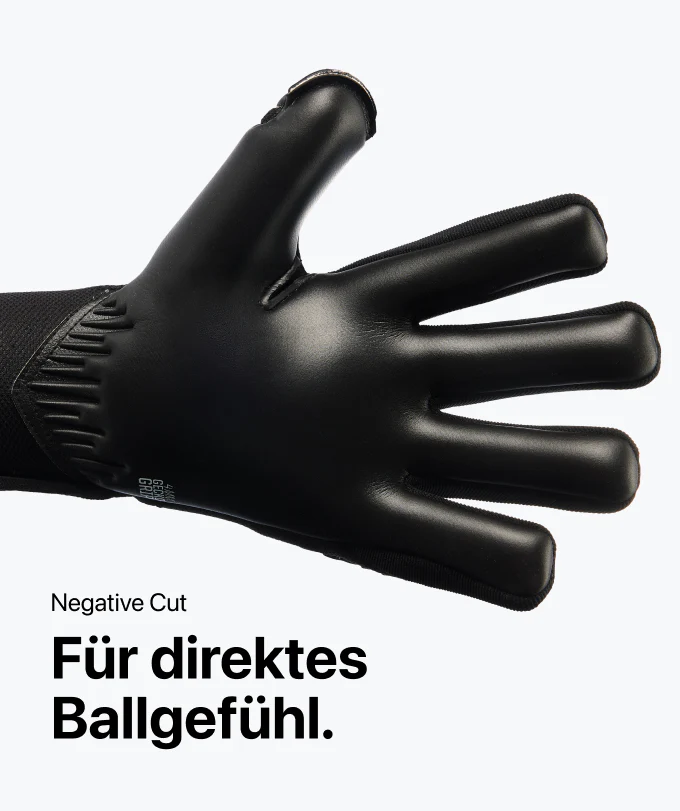 Vorschaubild 5