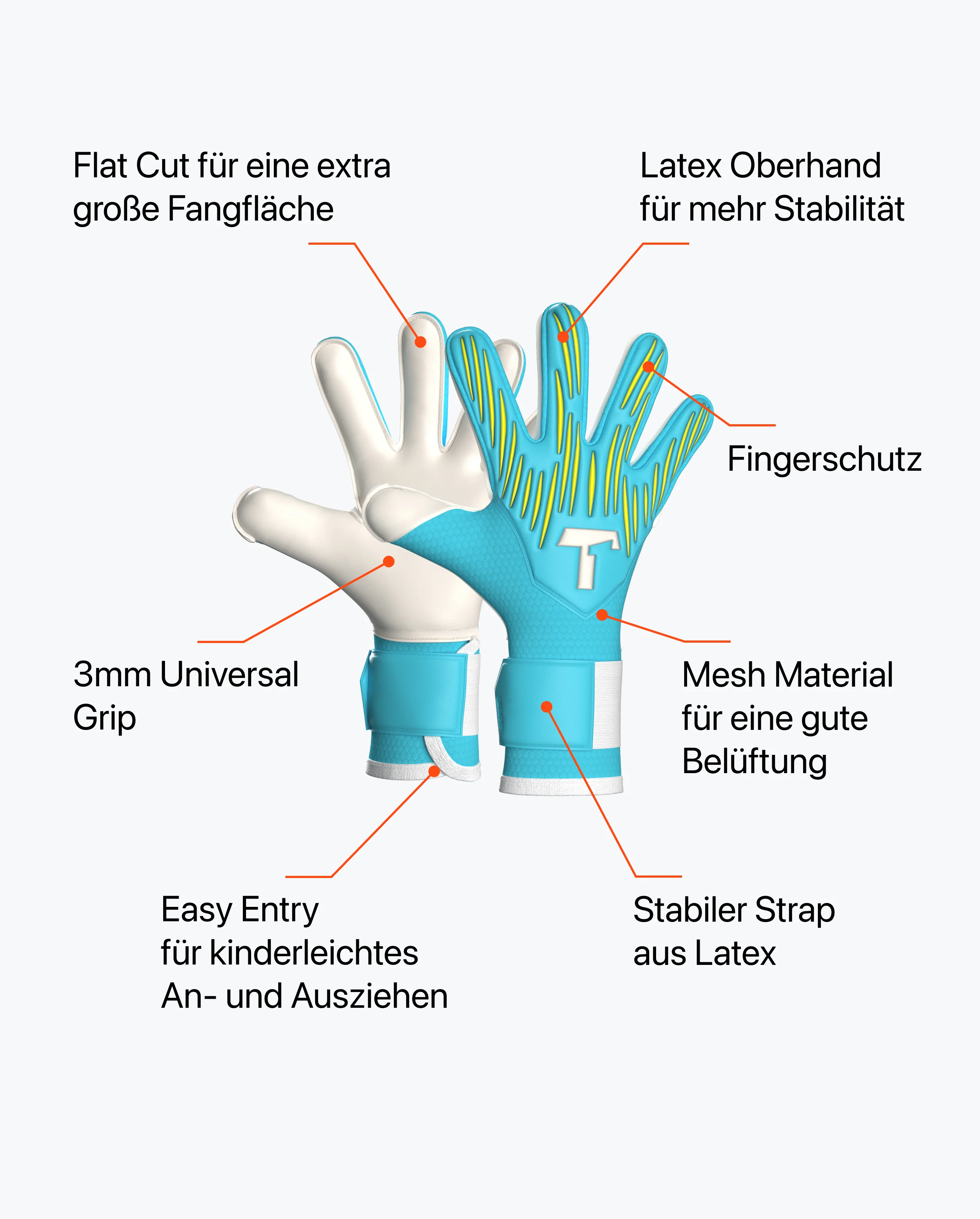 Vorschaubild 6