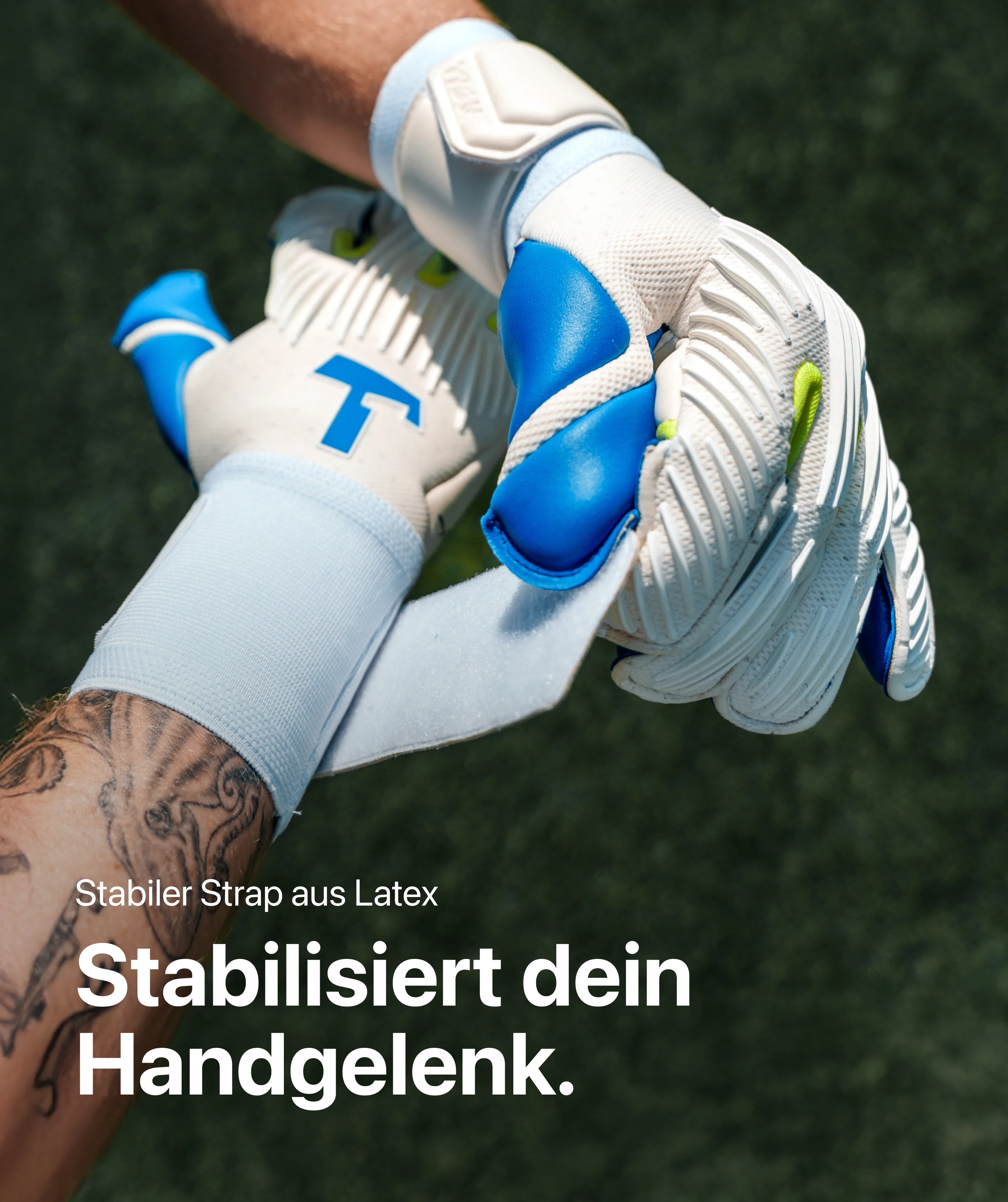 Vorschaubild 5